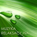 Muzyka Relaksacyjna - Rytm fal alfa