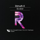 Dimuth K - Scalar P R O S T Remix PLEASURE