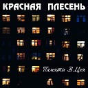 Красная Плесень - У меня ничего в жизни нет