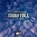 DJ Stress M C P - Snow Fall