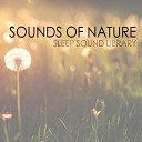 Rain Sounds - Deeper Sleep