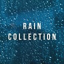 Nature Sound Collection - Sleep Rain Dripping