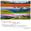 Relaxing Sounds of Nature White Noise… - Deep from Within