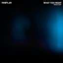 Templar - What You Want Radio Edit