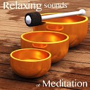 Relaxen Specialists - Deep Voice of Nature