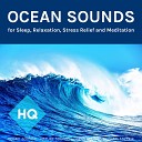 Ocean Sounds Nature Sounds Ocean Sounds by Craig… - Mindfulness Therapy