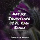 Nature Sounds for Relaxation and Sleep FX Effects Natural Sample… - Birds in the Night