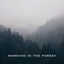 Clavier - Morning in the Forest