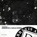 Darksidevinyl Cadillac Express - Tantra Original Mix