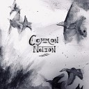 Common Notion - The Stranger
