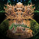 Shpongle - re We There Yet Original MIX