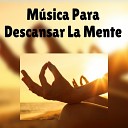 Musica Instrumental - Paz Interior y Exterior