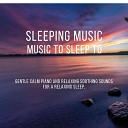 The Deep Sleep Scientists - Ambient Piano Nights