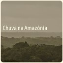 Amaz nia Silva - Floresta Antiga