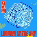 Emanuel Satie - Looking In The Sky Radio Edit