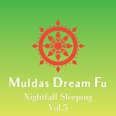 Muldas Dream Fu - Noise Rainbow Droplets 639 Hz