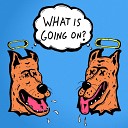 Sophisticated Dingo - What Is Going On