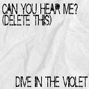 Dive in the Violet - Can You Hear Me Delete This