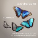 The Jupiter String Quartet - Quartet in C Minor Op 131 IV Andante ma non troppo e molto…