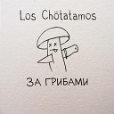 Los Chotatamos - За грибами