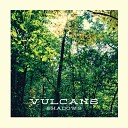 Vulcans - Someone I Used to Know