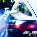 Aguilaru - Tesla