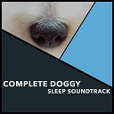 Dogs Music Therapy Dog s Music Zen Dog - Napping Pups