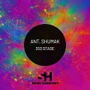 Ant Shumak - 303 Stage
