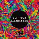 Ant Shumak - For a long time there is no snow House…