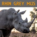 Rhin Grey Mus - With You Sir