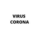 Dendi Apriansyah - Virus Corona