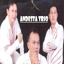 Andesta Trio - TABAHKANLAH