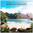 Birdsday feat Big John Whitfield - Birds of Paradise feat Big John Whitfield Extended…