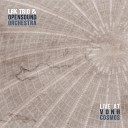 LRK Trio feat Opensound Orchestra - No Tears Live