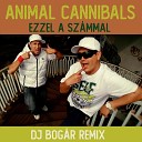 Animal Cannibals - Ezzel a sz mmal DJ Bog r Remix