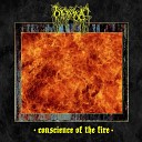 Nyctophagia - Conscience of the Fire