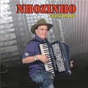 Nhozinho e convidados feat Xodozinho - Encontro de Gaitas