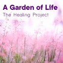 The Healing Project - A Garden of Life