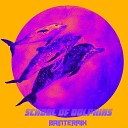 Baintermix - School Of Dolphins