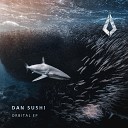 Dan Sushi - Storm Extended Mix