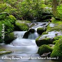 Steve Brassel - Calming Olympic National Forest Natural Ambience Pt…