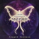 Андрей Звонков - Среди миллионов миров