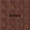 IZKANDER - Birds