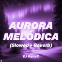 DJ WyzeX - Aurora Mel dica Slowed Reverb