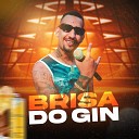 Mc jefyn Dj Kayssama - Brisa do Gin