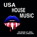 Dr House F Smid - USA House Music