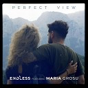 Endless feat Maria Grosu - Perfect View