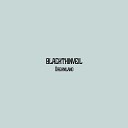 BLACKTHINVEIL - Forest Instrumental