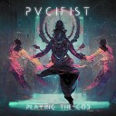 PVCIFIST - Now and Forever