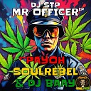 Dj Stp feat Payoh Soulrebel DJ Baay - Mr Officer Reggae Dub Mix